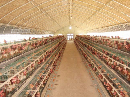 Gerador de ar quente de aquecimento por indução