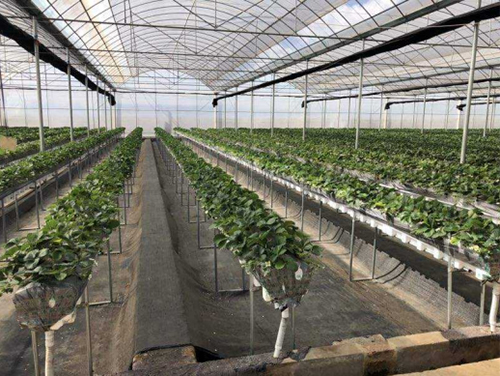 Gerador de ar quente de aquecimento por indução